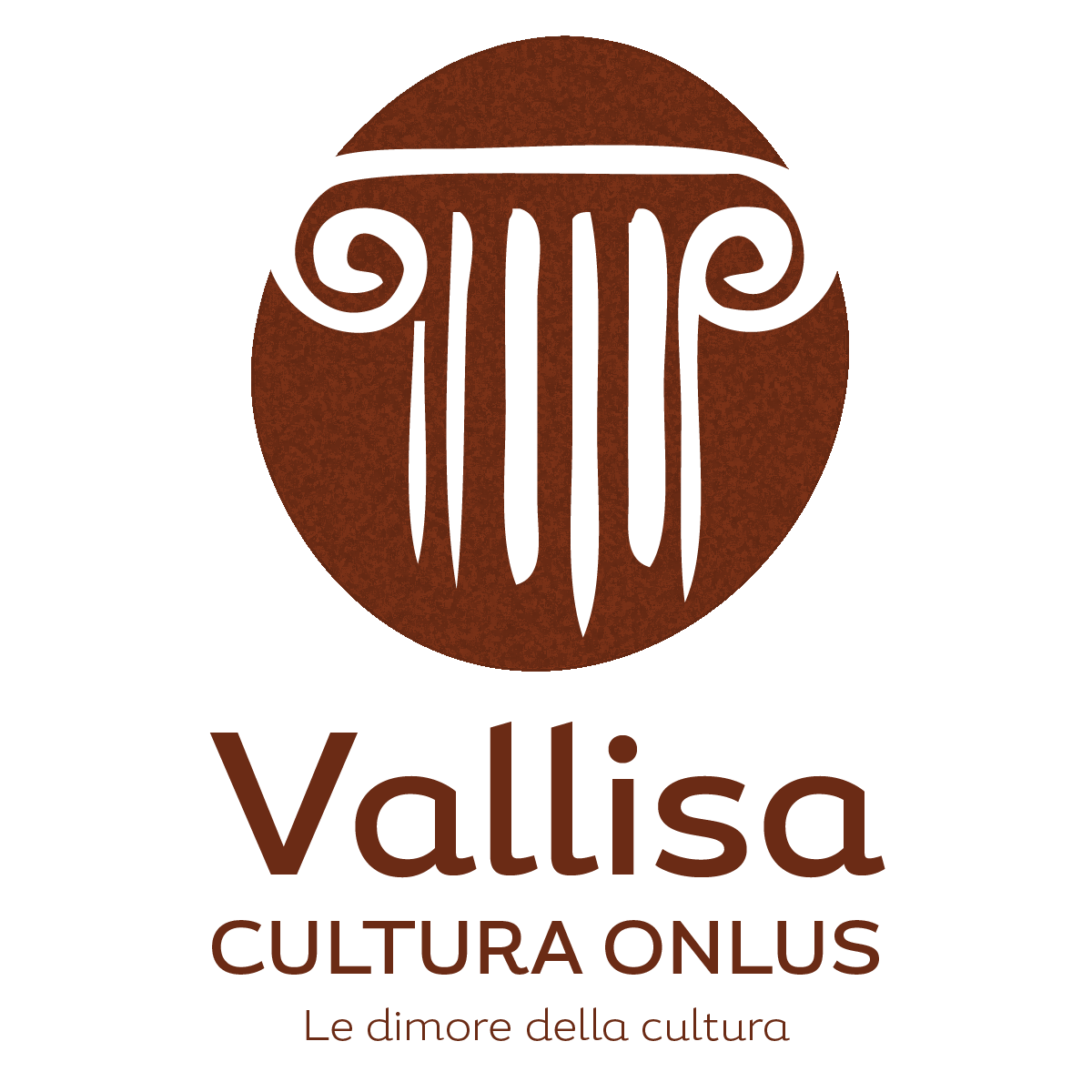 logo vallisa