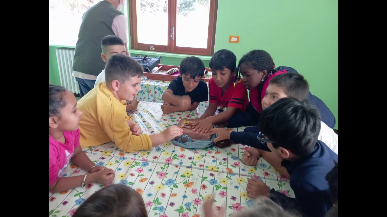 Al momento stai visualizzando Laboratorio di Orti Urbani – le attività svolte